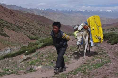 TREKKING IN LADAKH | CHANGTANG 2017